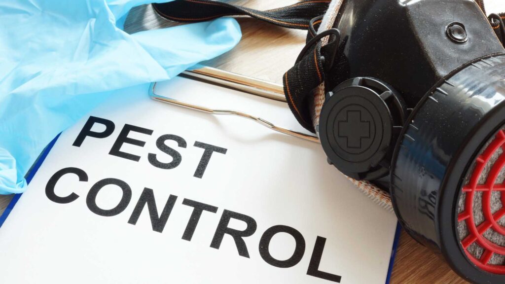 Affordable Pest Control Services Philadelphia